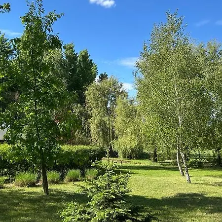 Nyarfa Vendeghaz Debrecín